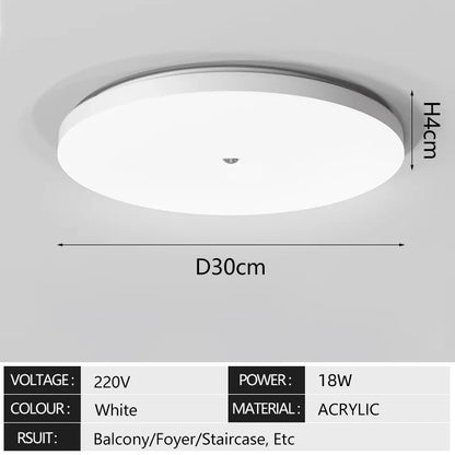 AutoGlow Ceiling Motion Light