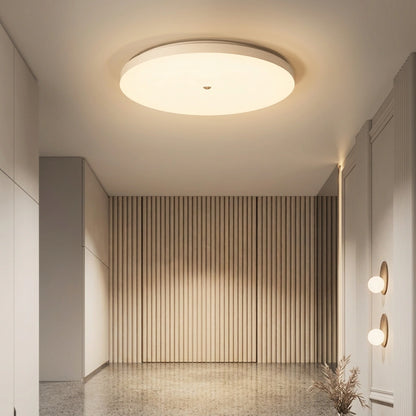 AutoGlow Ceiling Motion Light