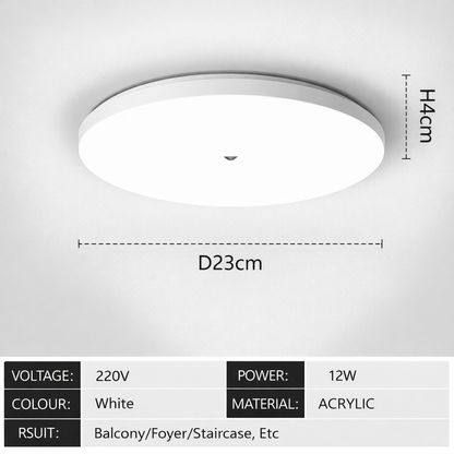 AutoGlow Ceiling Motion Light