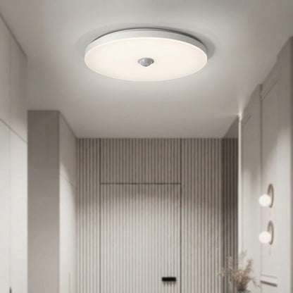 AutoGlow Ceiling Motion Light
